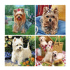 HUACAN,Dog,Diamond Painting Cross Stitch
