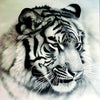 New,Diamond Painting,Cross Stitch