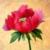 New,Diamond Painting,Cross Stitch