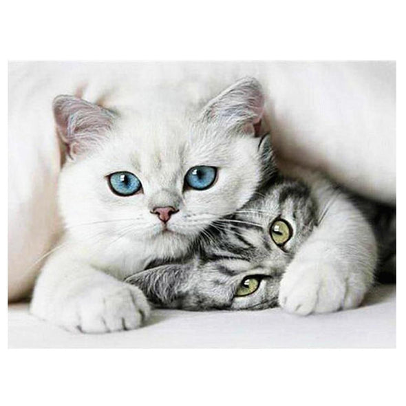 Diamond Embroidery Cat Picture